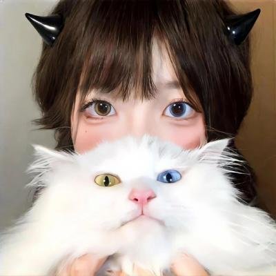 我的房东是偶像歌手